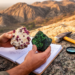 Two Distinct Mineralized Skarn Types Uncovered in Nigeria’s Tsauni Metagranitoids