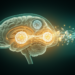 Exercise-linked lactate may remodel the post-stroke brain through tubulin modification
