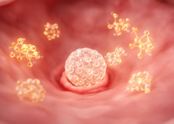 Elevated homocysteine linked to implantation failure in first embryo transfer