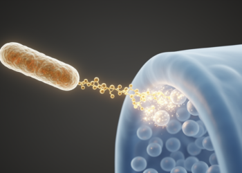 Salmonella’s SopB protein makes a key signalling lipid without host kinases