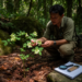 New Green-Flowered Legume Species Discovered in Guangxi Forests of China