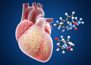 Real-World Data Suggest Acoramidis Outperforms Tafamidis in Heart Amyloidosis