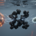 How hot the fire was decides how fast dissolved black carbon shuttles electrons