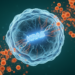 Cediranib plus KRASG12C inhibitors triggers replication stress and antitumor immunity