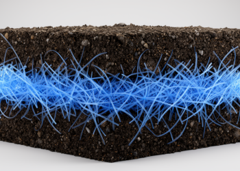Polypropylene Fibers Dramatically Boost Wet-Dry Durability in Xanthan Gum-Stabilized Soils