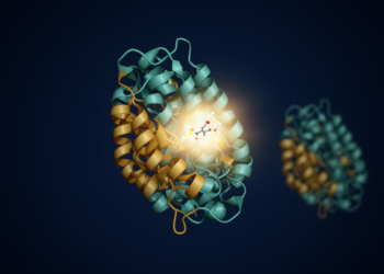 Radioligand Binding to IDH1 Enzymes Revealed as Method-Dependent in New Study
