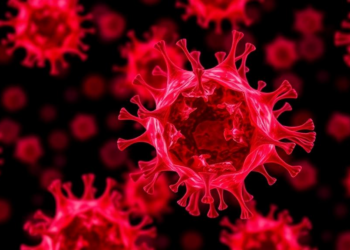 Macrophages Take Center Stage: Rethinking Antibody-Driven Phagocytosis in Cancer Therapy