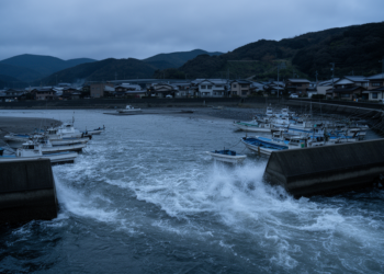 Hidden Tsunami Forerunner from the 2024 Noto Earthquake Surfaced Near a Japanese River Mouth