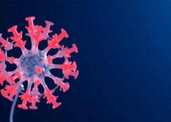 Lab-Grown Nasal Organoids Offer a Durable Human Model for Studying Influenza Infection
