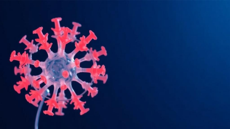 Lab-Grown Nasal Organoids Offer a Durable Human Model for Studying Influenza Infection