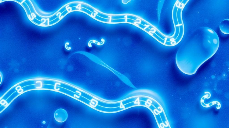 Clay-Boosted Biopolymer Hydrogel Strips Dyes From Wastewater With Reusable Efficiency