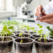 New database tracks germination and early seedling traits of six European trees