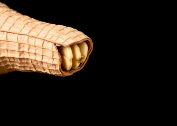 Peanut Root Compound Shows Promise Against Inflammation-Driven Bile Duct Cancer