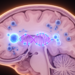 RNA-Binding Protein hnRNPC Drives Cerebellar Growth by Guarding Mtf2 Splicing