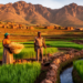Highland households show strongest climate resilience in northeastern Ethiopia study