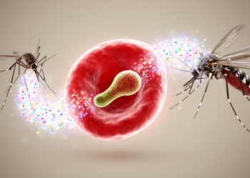 Malaria metabolomics review maps metabolic signatures in hosts, parasites and mosquitoes