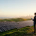 Renewable energy investment may stabilise growth when policy wavers, study finds