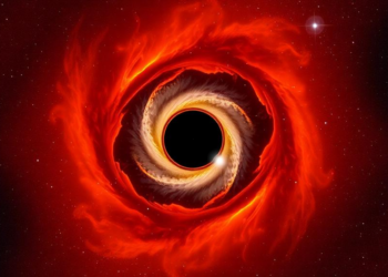 ALMA Survey Maps the Chemistry of the Disk and Envelope Around Protostar L1527 IRS