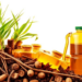 Waste Cooking Oil Beats Crops on Energy Return in Aviation Fuel Study