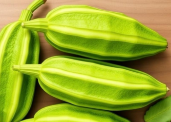 Bitter Gourd Hybrids Show Huge Nutritional Boosts in Landmark Breeding Study