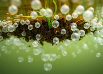 Bubbles From Below: Sedges and Soil Shape Methane Bursts in a Canadian Fen