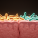 Genetic study links gut microbes to ulcerative colitis and flags two biomarkers