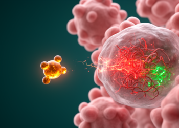 Chalcone compound UR-2 kills stem-like lung cancer cells by disrupting mitochondrial redox signaling