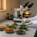 Review Finds Lead and Cadmium Exceed Safe Limits in Ethiopian Foods