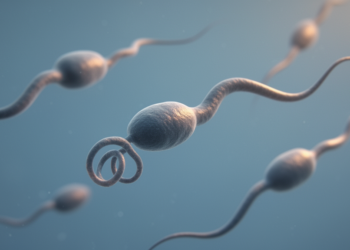 Novel CFAP65 Gene Mutation Linked to Sperm Flagella Defects in Pakistani Family