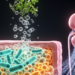 How Natural Products Target Gut Microbes and Multiomics Signals in Diabetic Kidney Disease