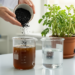 Rice Hull Biochar Strips Toxic Chromium from Tannery Wastewater and Boosts Chickpea Growth