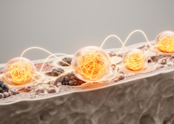 Long Non-Coding RNA MALAT1 Emerges as a Multifaceted Regulator of Bone Remodeling