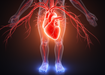 Mean circulatory filling pressure emerges as key to cardiac output and edema risk