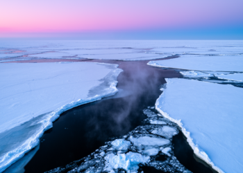 South Indian Ocean Warmth Helped Drive the Record-Low Arctic Sea Ice of 2025