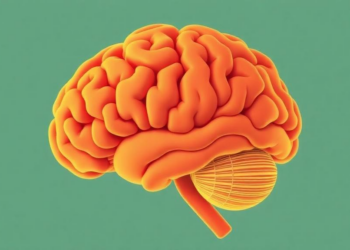 Fungal Food Toxins Can Breach the Brain: Review Maps How Mycotoxins Damage the Nervous System