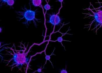 Single Transcription Factor PU.1 Rapidly Converts Fibroblasts into Macrophage-Lineage Cells