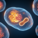 TCTP and Mcl-1 Proteins Rise in Chronic Lymphocytic Leukemia, Study Finds