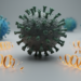 Defective Viral Genomes of PRRSV-2 Show Antiviral Activity Against Multiple Strains