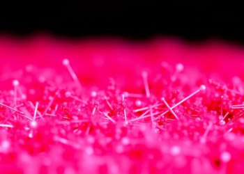 Tiny Particles, Big Relief: Nanoparticles Shield Crops From Toxic Metals