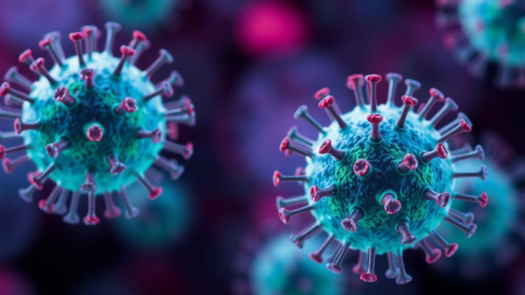 Purine and Indole Derivatives Show Virus-Suppressing Effects in Infected Mammalian Cells