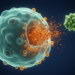 Artesunate Shows Promise Against Rheumatoid Arthritis by Triggering Ferroptosis in Synovial Cells