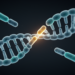 Novel CNKSR2 Splice Variant Shown to Skip Exon 16 in Boy with Epileptic Encephalopathy