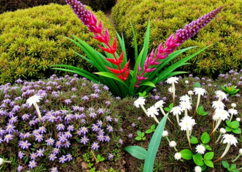 Shrubs, Rain and Plant Traits Decide How Well Alpine Meadows Work