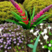 Shrubs, Rain and Plant Traits Decide How Well Alpine Meadows Work