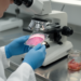 Skin Biopsy Revealed Fatal Fungal Trigger of Hyperinflammation When Marrow Testing Failed