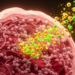 Kitchen Compounds That Rewire the Breast Cancer Tumor Microenvironment