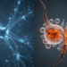 Desipramine Blocks Neuronal Ferroptosis in Ischemic Stroke Mouse Model