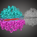 AlphaFold 3 Structures Can Guide T-Cell Receptor Engineering, With Caveats