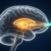 Neonatal Thalamus Disruption Rewires Prefrontal Dopamine Signaling in Rats