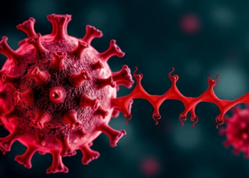 Rabies virus matrix protein stabilizes RGS4 to curb ferroptosis and aid replication